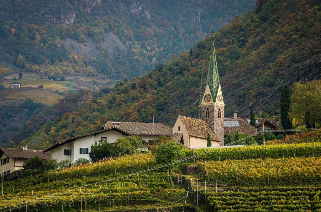 autumn, town, vineyard, autumn vineyard, bolzano, italy, travel, nature, autumn colors, vineyard, travel, travel, travel, travel, travel, nature, nature